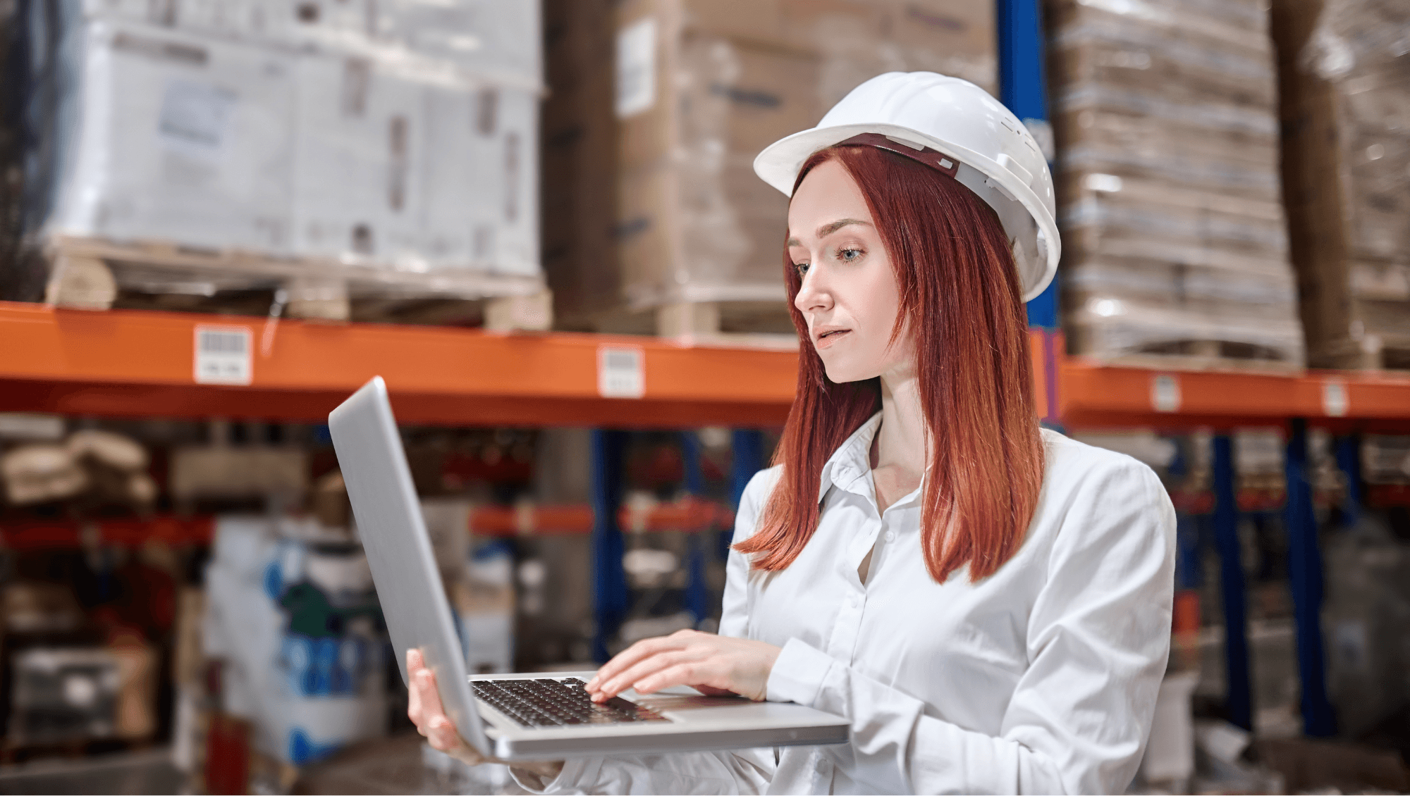 Warehouse Intelligence: Secure Way To Make WMS Answer Your Questions
