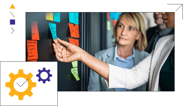 Data to insights